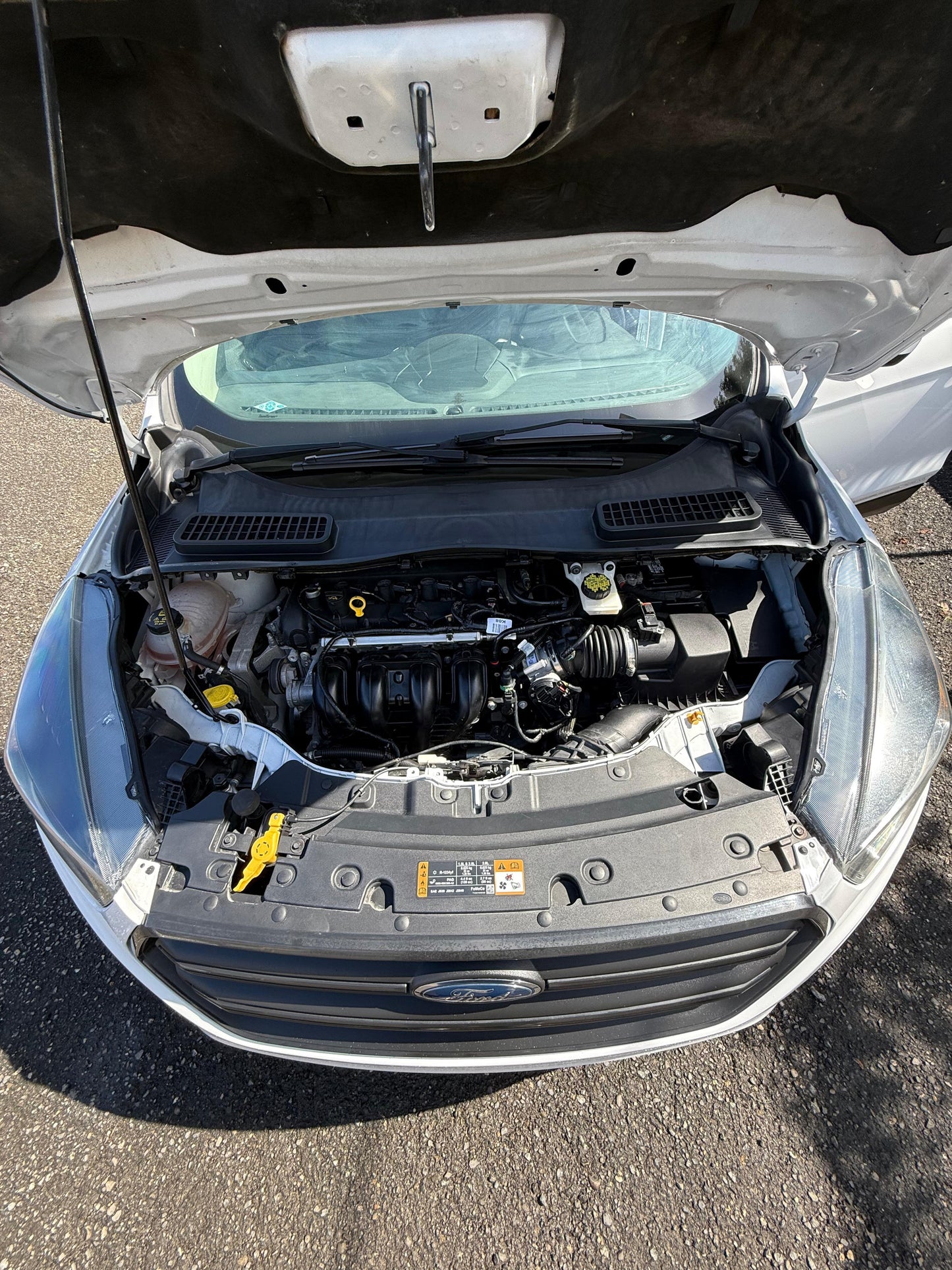 FORD ESCAPE S 2019